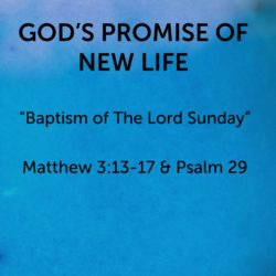 God’s Promise of New Life