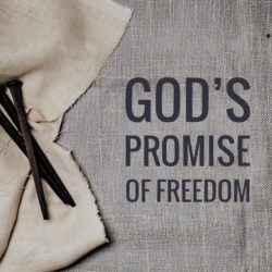 God’s Promise of Freedom