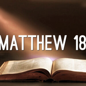 Read more about the article Matthew: Biblical Conflict Management